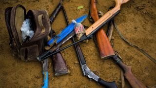 Confiscated weapons from illegal loggers